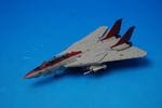 1/200 F-14A ����ꥫ���� ��101��Ʈ������ �����꡼�ѡ��� AD101 ��6658] �ۡ�����/���