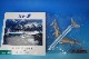 1/200 B747SR-100 ANA ��ҥ����å� JA8157 [NH20090] ����������/���