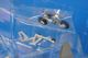 1/72 �ϥꥢ��GR.7�ʥϥꥢ��II�� �����ꥹ���� ��1������ ���Ρ��ե��륳��齬�� �Х�ɥ��ե������ϡ��Υ륦���� ZG531 [HA2628] �ۥӡ��ޥ�����/���