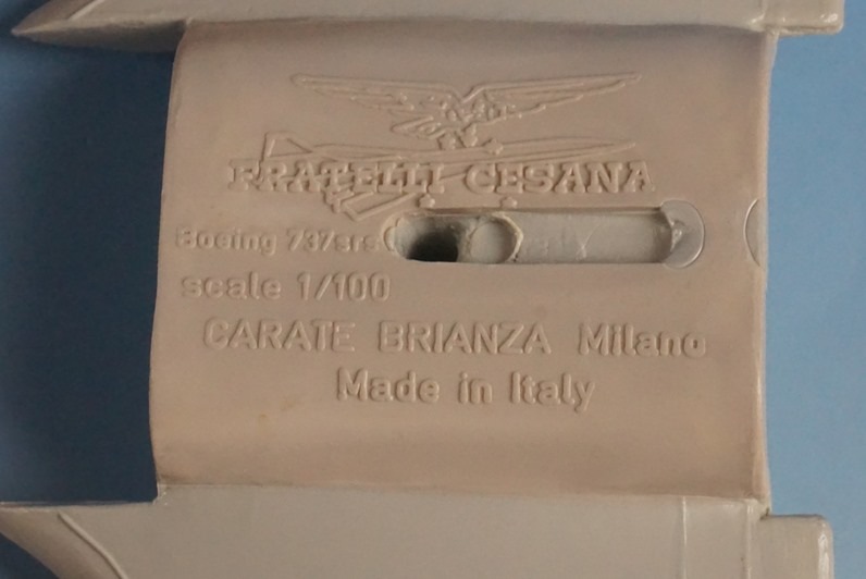 1/100 B737-600 SAS �����󥸥ʥӥ� SE-DNM FRATELLI CESANA/���