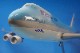 1/100 B747-400 ꥢ ڹҶ HL7477 ASIA SPECIALITY MODEL/