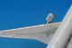 1/500 MD-11 JAL J�С��� �饤���祦 JA8589 ��SJJAL141�� ����С�/���