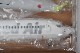 1/100 B737-800W 饷ɥ ޥ JA805X [SNJ1001 С饤/