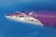 1/200 A321LR��A321neo�� �ԡ��� JA901P [PA210001] �ۡ�����/���