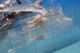 1/72 F-4EJ JASDF �Ҷ������� �Ҷ��¸��� ��Ƴ��1�ֵ��� 70-80ǯ�� ������� #17-8301 ��HA19020�� �ۥӡ��ޥ�����/���