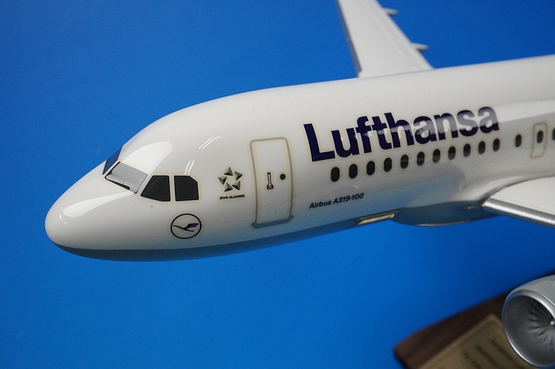 【超希少】ヘルパ 1/500 ルフトハンザ A319（製造時エラープリント） 1/100 A319-100 ルフトハンザ D-AIBC パックミン/中古｜｜飛行機模型