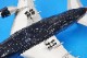1/200 ���å����� L-1011-1 �ȥ饤������ �֥�ƥ��å��� ���ɡ������� G-BBAG ��IF011018�� ����ե饤��/���