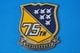 �����󥸥����� ����ꥫ���� BlueAngels/�֥롼���󥸥��륹 75th Anniversary ���