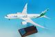 1/200 B787-8 ANA Future Promise/�ե塼���㡼 �ץ��ߥ� ������ ��WiFi��ɡ��ࡦ������°�� JA874A ��NH20218�� ����������/ͽ��