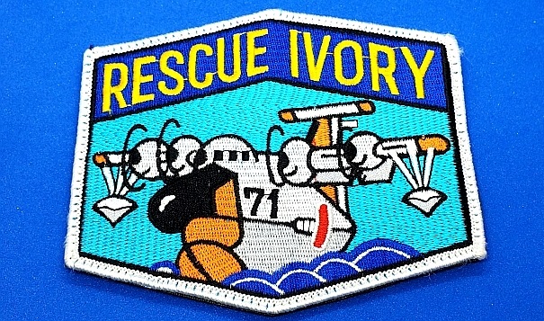 ワッペン JMSDF 海上自衛隊 新明和 US-1 RESCUE IVORY/レスキュー