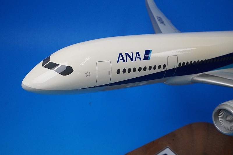 ��Ĺ��46.5��� ������48��� B787-8 ANA JA851A ����åɥ�ǥ� �᡼��������/���