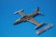 1/72 T-33 Training Aircraft ʥ No.439 Sqn. ӥ FA722018 ե륳ǥ/