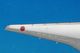 1/500 B777-200 ANA JA702A [NH50017] ����������/���