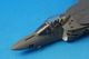 1/72 AV-8B+ ����ꥫ��ʼ�� ��214��ʼ���������� �֥�å������� ���ե��˥����� WE01/#165421 [HA2629] �ۥӡ��ޥ�����/���