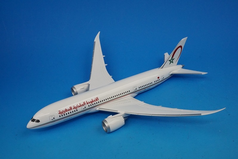 1/200 B787-8 ������륨������å� CN-878 �ѥå��ߥ�/���