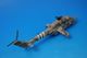 1/72 Mi-24 �ߥ� ���������� �ϥ���ɥ����å��إꥳ�ץ��� ���ݥ꡼���� 2022ǯ���� ��14005PF0509�� PANZERKAMPF �ѥ�ĥ��������/���
