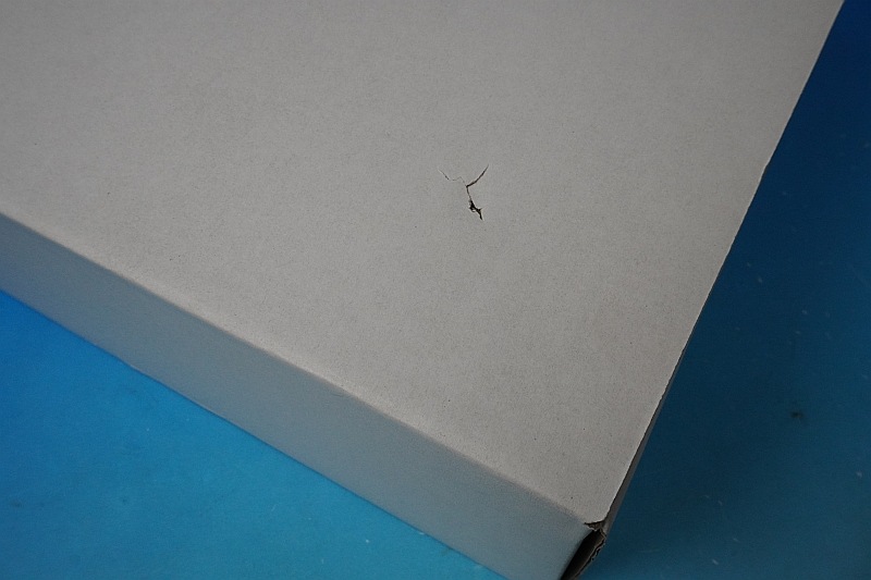 1/200 B787-9 ANA FUTURE PROMISE JA871A ��SA2026�� JC�����󥰥�/���