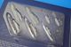 1/72 EA-18G ���饦�顼 ����ꥫ���� VAQ-141/��141�Ż��������� ����ɥ��ۡ����� 2010 ��WTW-72-029-001] Witty Wings/���