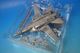 1/72 F-14D ����ꥫ���� ��31��Ʈ������ �ȥ७��å����� ���󥿡�����å� ���쥨���֥�ϥࡦ��󥫡������ NK100/#164601 [001633] CENTURY WINGS/���