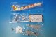 1/200 B767-300ER AIRDO�����ɥ� �����󥸥��å��̳�ƻ JA607A ����Ȣ���� ���С��饤��/���