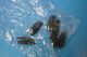 1/72 �ե����꡼ �����ɥե��å��� M��I �����ꥹ���� ���ڥ졼����� �ȡ��� 1942 HMS �Х����� (���ޤꤿ����) [AA36311] ��������/���