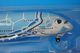 1/200 A380-800 ANA FLYING HONU Lani�֥롼 JA381A [NH20143] ����������/���