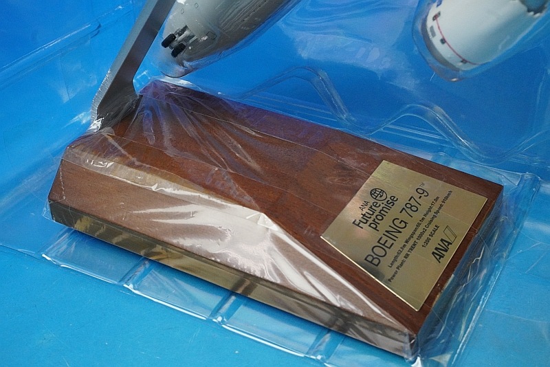 1/200 B787-9 ANA FUTURE PROMISE JA871A ��NH20220�� ����������/���