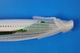 1/200 A321-200 ���Х����� ������ B-16221 ��10406] �ۡ�����/���