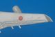 1/600 B747-400 JAL ���������/MD-11 JAL/B747-300 ���ܥ������ʤ� �ޤȤ��6�����å� ����Х�/���