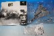 1/72 F-14A �ȥ७��å� VF-154 ����ꥫ���� �֥�å��ʥ��� [85037] ��˥ޥå���/���