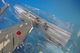 1/72 F-4EJ�� �ե���ȥ�II �Ҷ������� ��301������ ��17-8440 ��HA19023�� �ۥӡ��ޥ�����/���