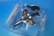1/72 A-4F �������ۡ��� ����ꥫ���� �֥롼���󥸥��륹 Tokushima 2008 [HA1438C] �ۥӡ��ޥ�����/���