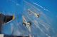 1/72 A-4F �������ۡ��� ����ꥫ���� �֥롼���󥸥��륹 Tokushima 2008 [HA1438C] �ۥӡ��ޥ�����/���