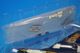 1/72 A-4F �������ۡ��� ����ꥫ���� �֥롼���󥸥��륹 Tokushima 2008 [HA1438C] �ۥӡ��ޥ�����/���