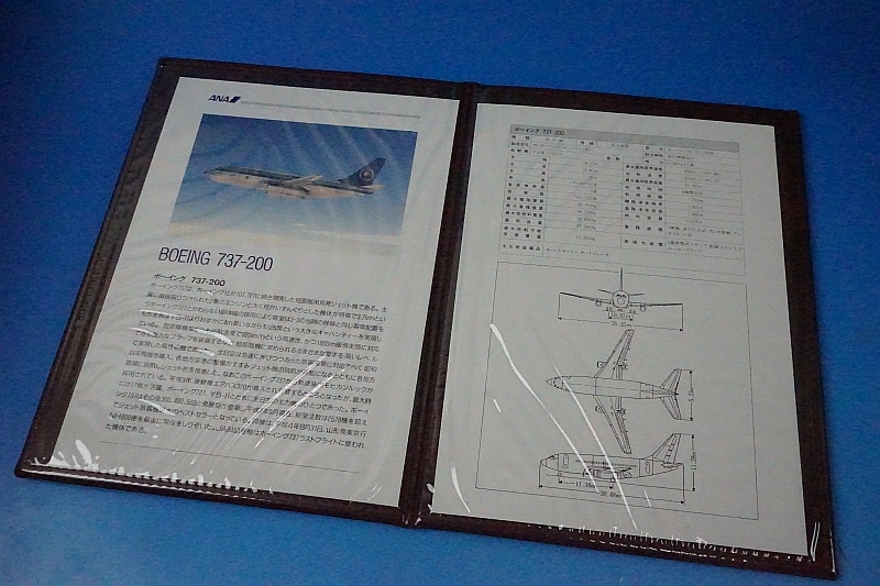1/100 B737-200 ANA �饹�ȥե饤�� JA8453 �ѥå��ߥ�/���