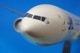 1/100 B777-300 JAL ���������� ���쥸����Ϳ�ʤ� �ѥå��ߥ�/���