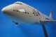 1/100 B747-400 JAL ���������50��ǯ JA8906 ��BJE2087�� �ѥå��ߥ�/���