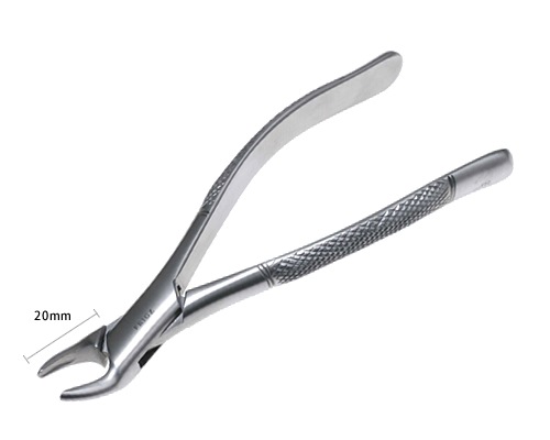 抜歯鉗子 トーマス | 歯科,スタンダード製品 | FRIGZ ONLINE STORE