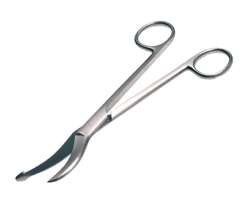 ���ӥ����ѡ�����ʥ����ѡ������Υߡ����ʡ�