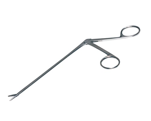 ���ꥲ��������ҡʥ����ѡ������Υߡ����ʡ�