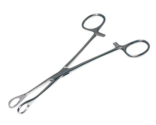 はなこさん専用 花火 Best ベストセレクト | キャンプ・バーべーキュー用品 通販