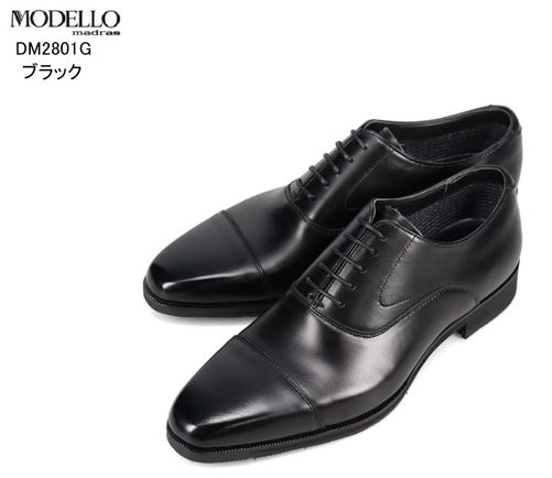 madras MODELLO(ޥɥ饹ǥ)DM2801G ܳ  Ⱪȥ졼ȥåץɥ쥹ȥåɥӥͥ塼 GORE-TEX ɿѵ Ʃ  ٿȤǥåʥ饹Ȥ פˤŬ 