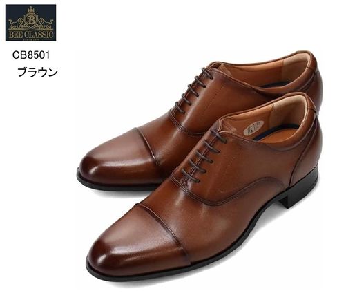 ޥɥ饹 BEE CLASSIC CB8501 ܳ  Ⱪȥ졼ȥåץɥ쥹ȥåɥӥͥ塼 åȥ塼 5cmҡ륢åץ ץʥǥǥեȥ쥶 פˤŬ
