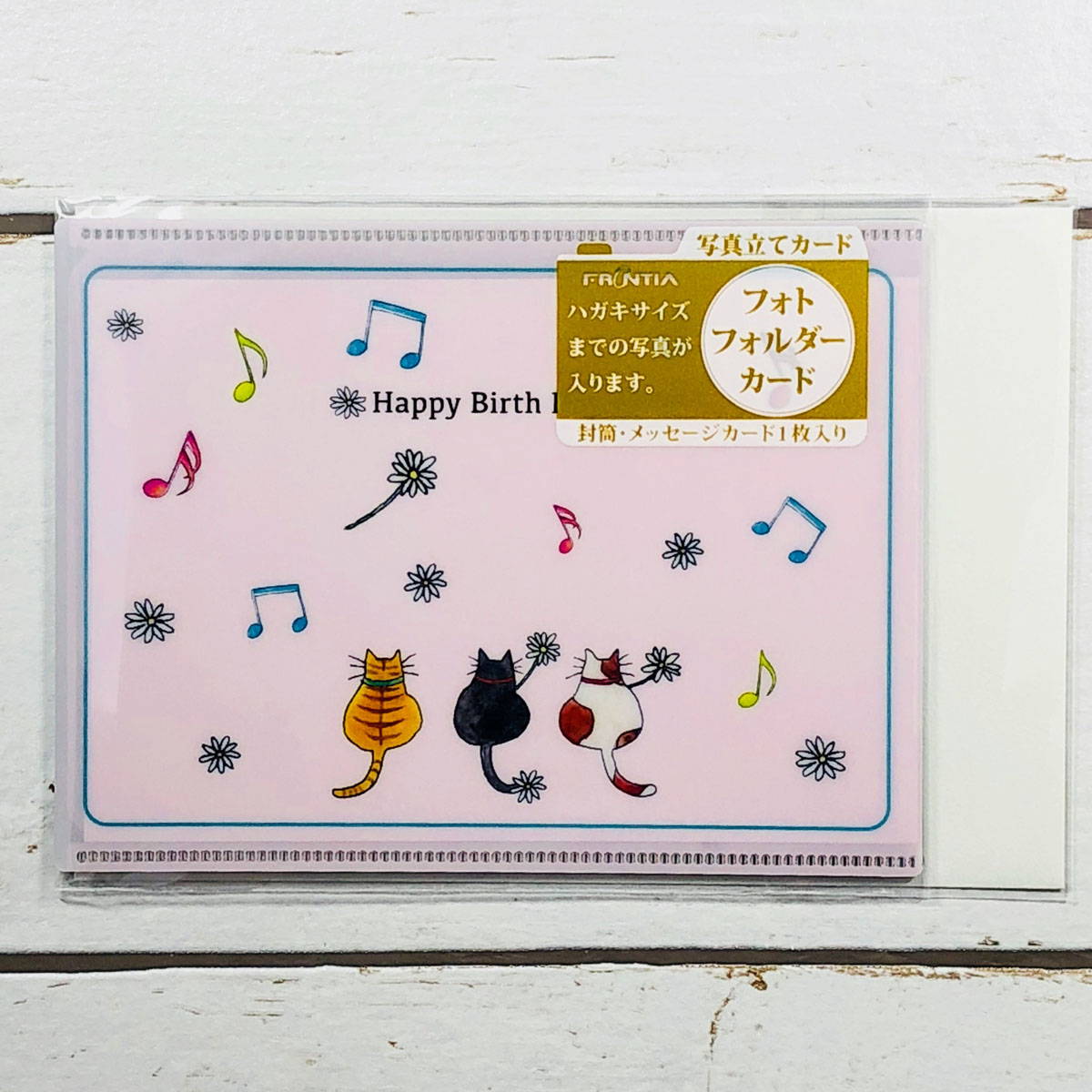 フォトフォルダーカード Sweet Cat デイジー｜cd-387 | 手紙・カード