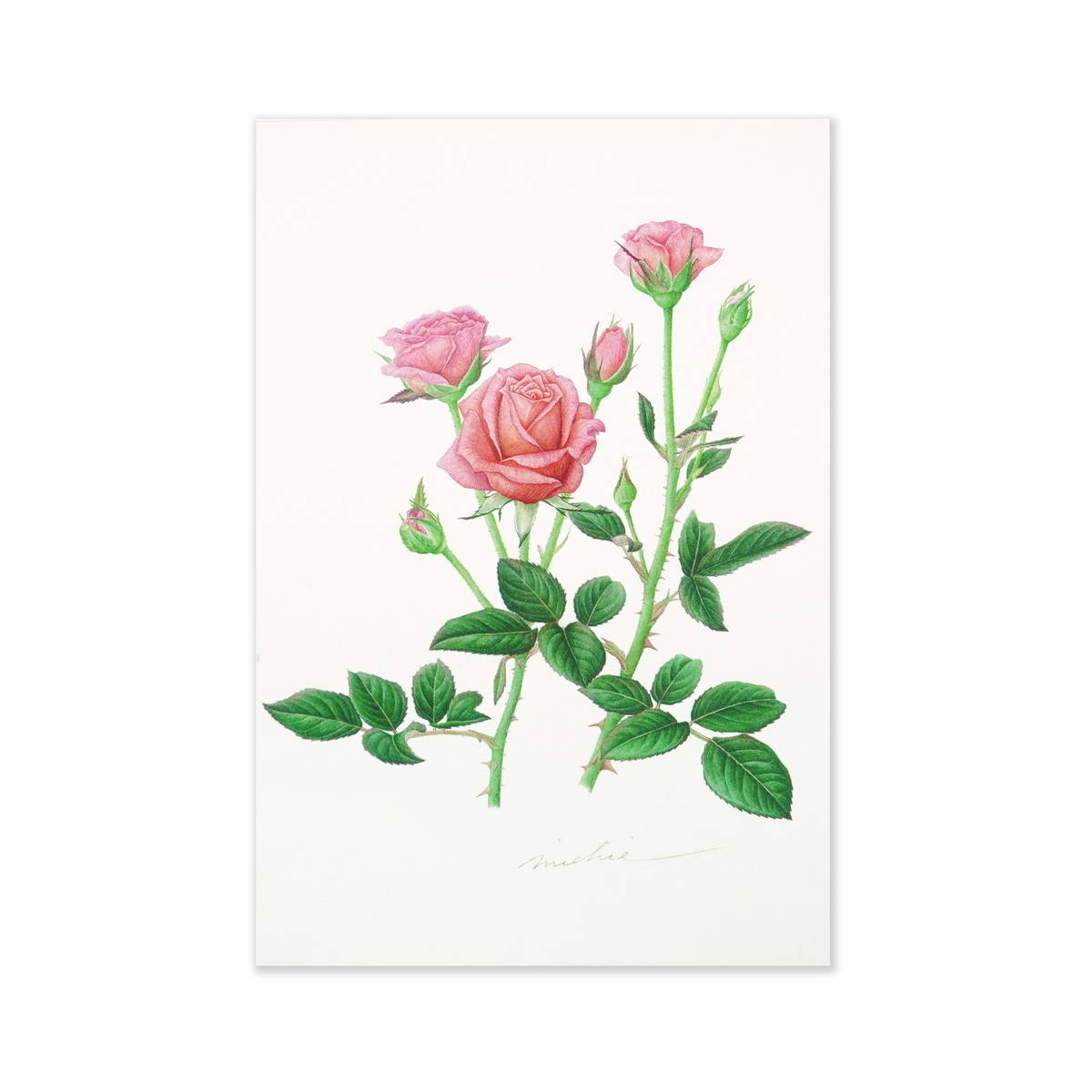 カレン　ホイプティング　真作版画　限定35部　サイン入ポストカード付 カレン ホイプティング 真作版画 限定35部 サイン入ポストカード付