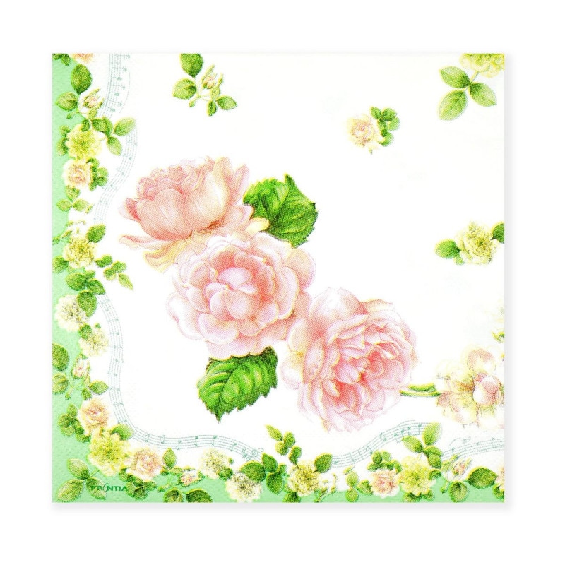 �ڡ��ѡ��ʥץ��󡡥磻��ɥ�������pnk-004