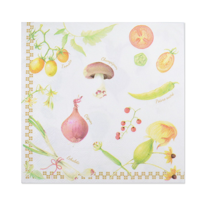 �ڡ��ѡ��ʥץ������Ϥ����£��ʪ��pnk-014