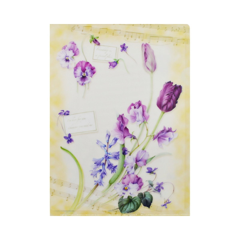 ���ꥢ�ե������A4�����塼��åץȥѥ󥸡���cf-010