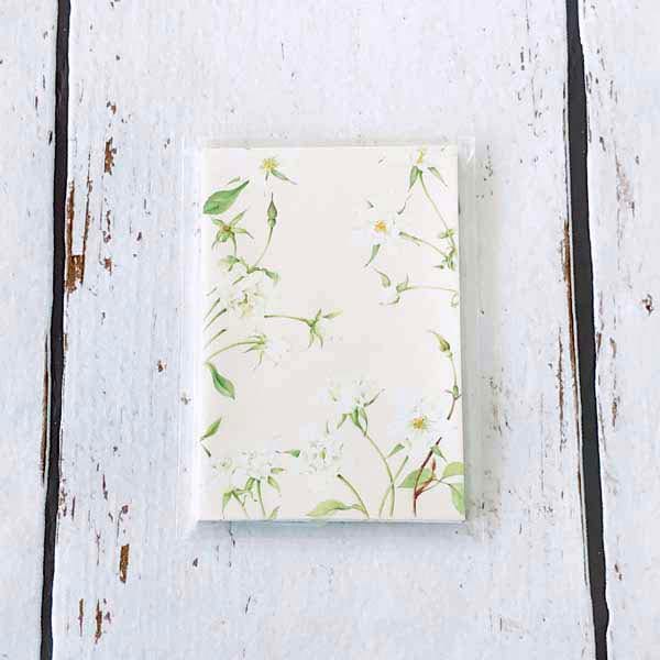 �ݥ��ޡ�¿��Ū����ΤĤ�Х��pch-035