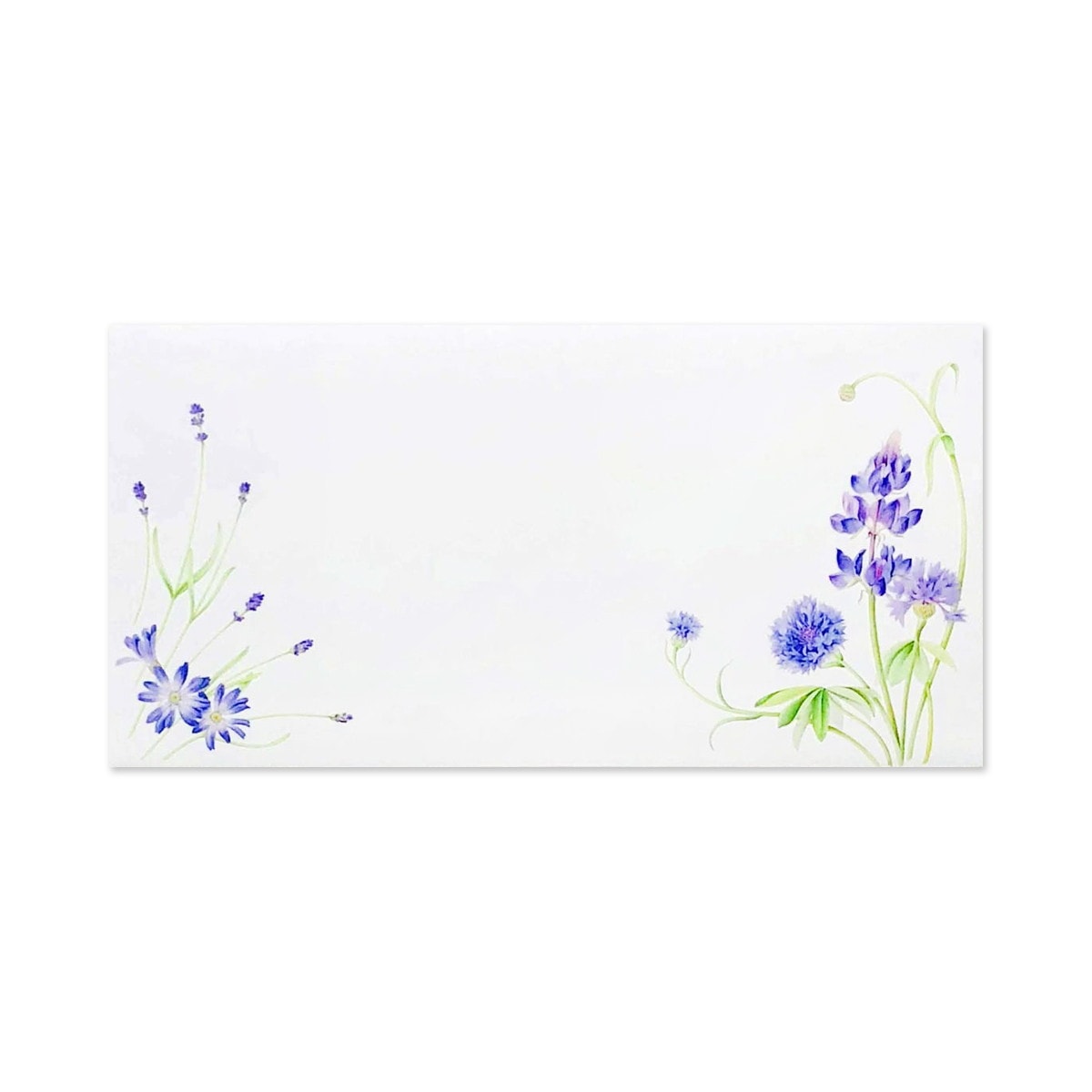 封筒 ラベンダー｜ev-457 | 新商品,2024夏,封筒 | フロンティア公式